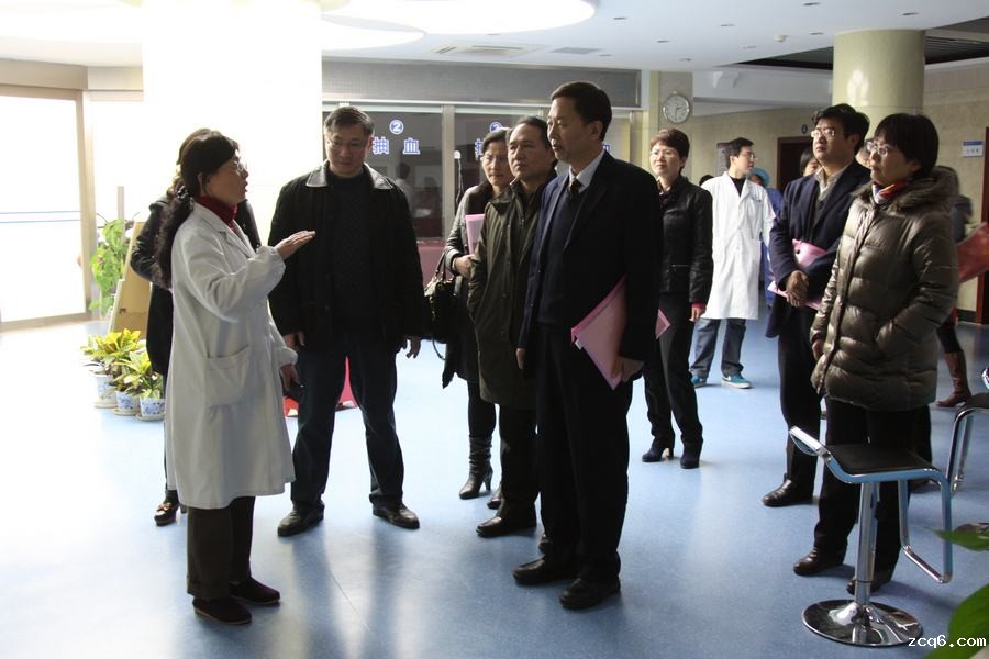 附属中西医结合医院评估：专家实地考察